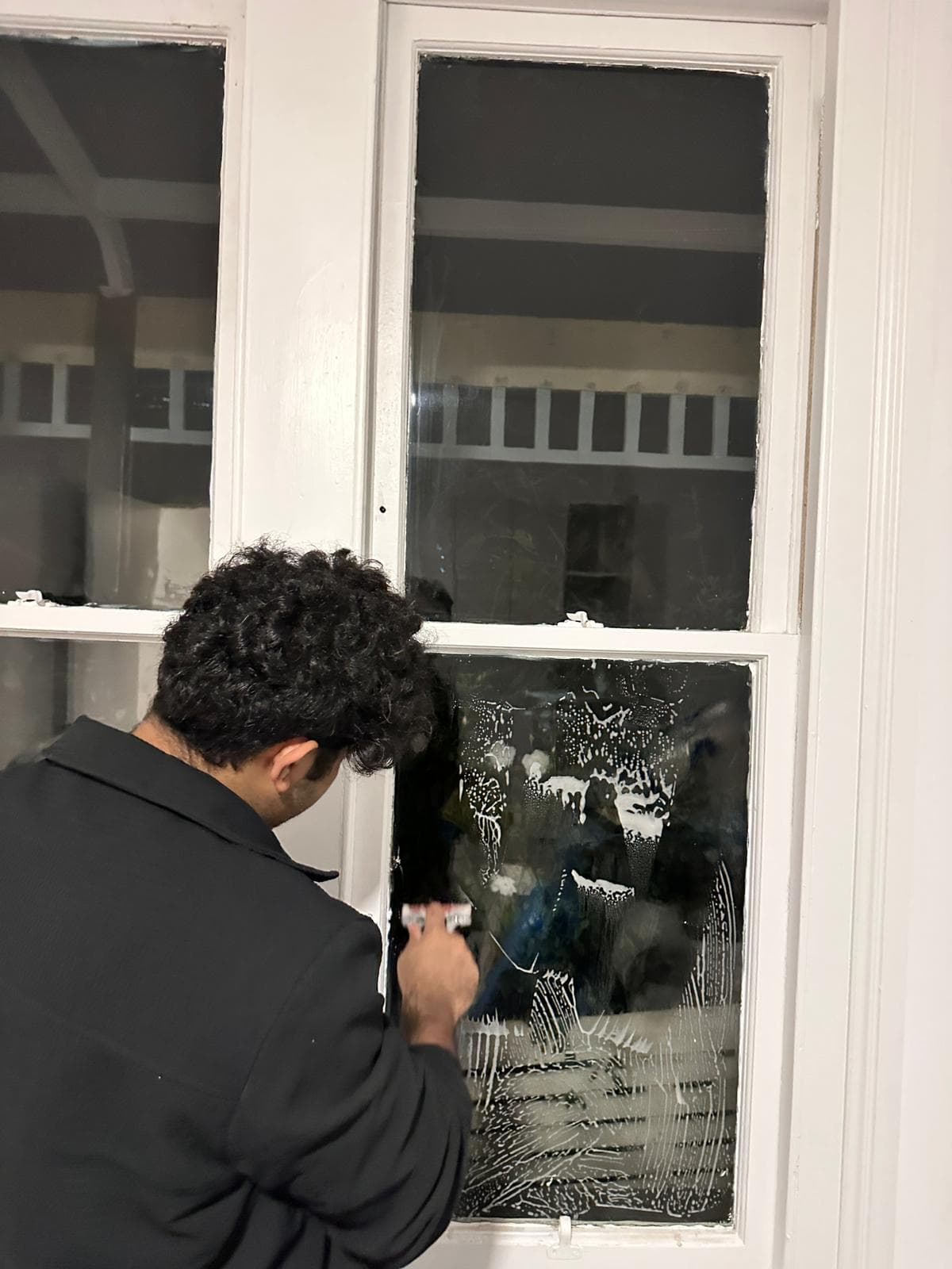 Professional cleaner